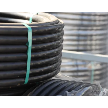 Paxgol +CL Pipe Chlorine-Resistant Grade 24 Golan Industries