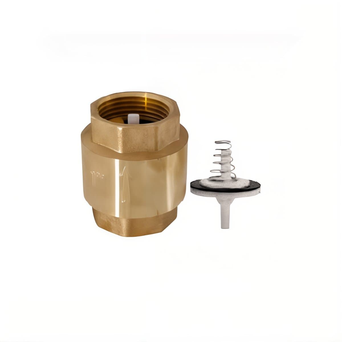 Spring Clamp 1/2 Inch – Ideal Sealing Solution